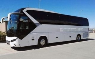 bus bus