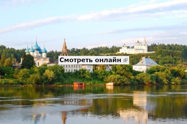 gorohovec1