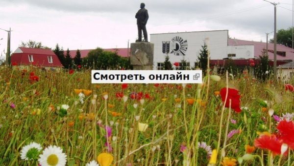 miasskoe1