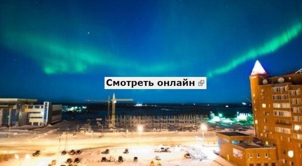 novurengoi1