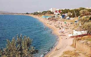 shelkino1